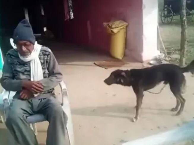 Om Narayan Verma desheredó a sus hijos para dárselo todo a su perro