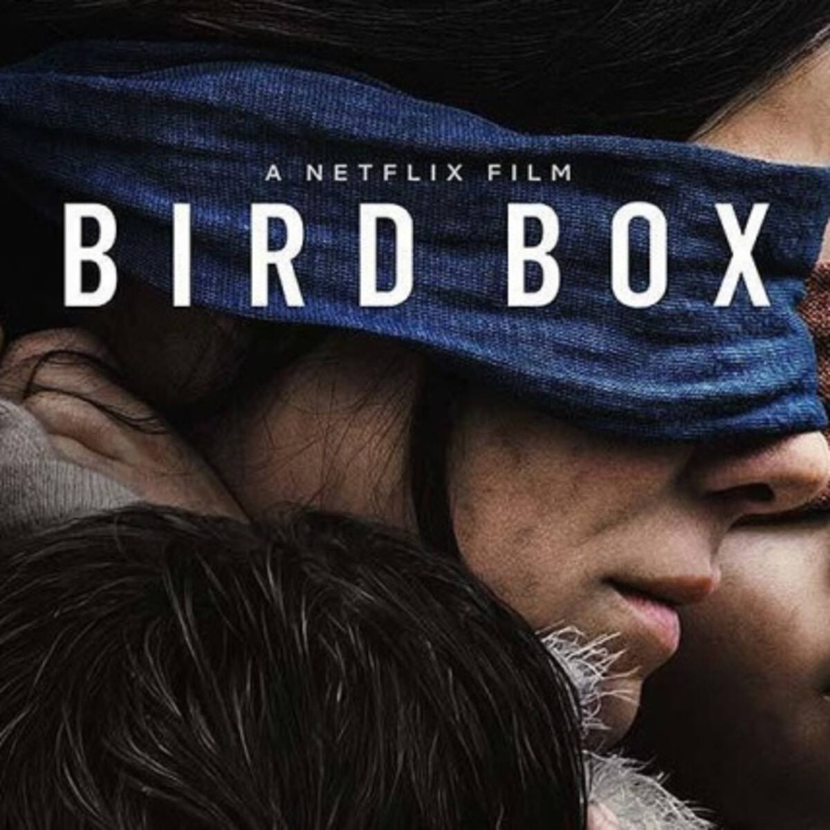 Bird Box lo nuevo de Netflix
