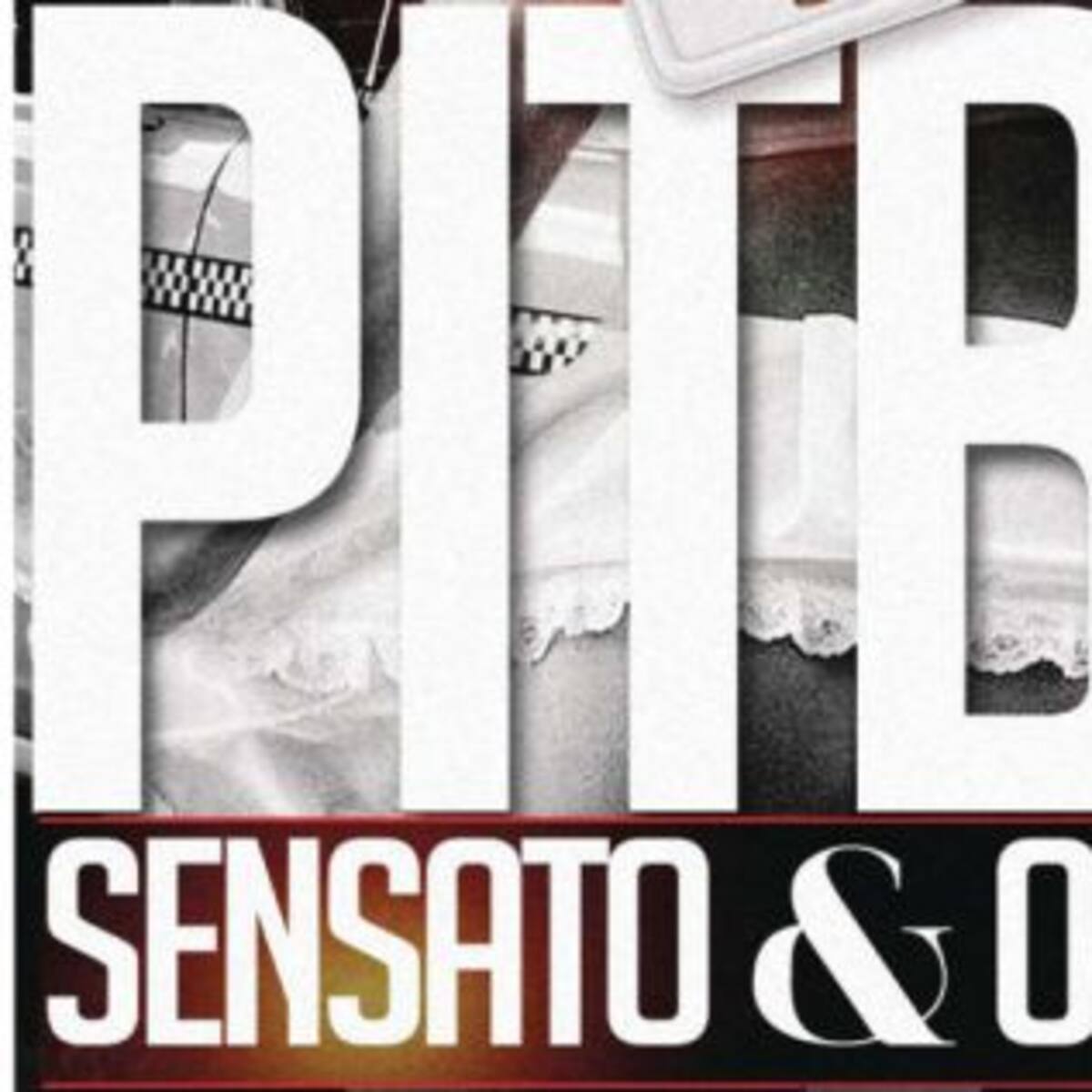 ¿"El Taxi" de Pitbull es un plagio?