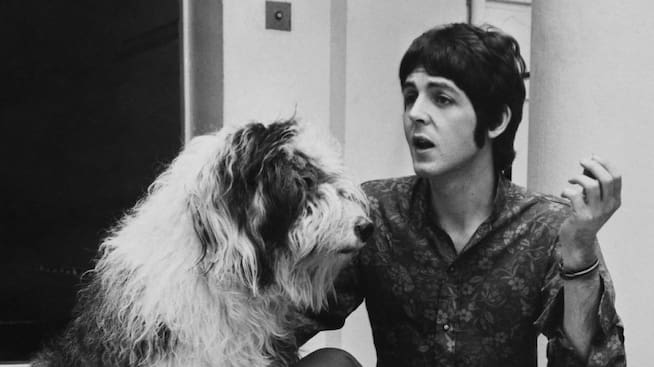Paul McCartney escribió canciones a su perro. Escribió una canción para su perra Martha, titulada “Martha, my dear” que aparece en el álbum de 1968, The White Album.