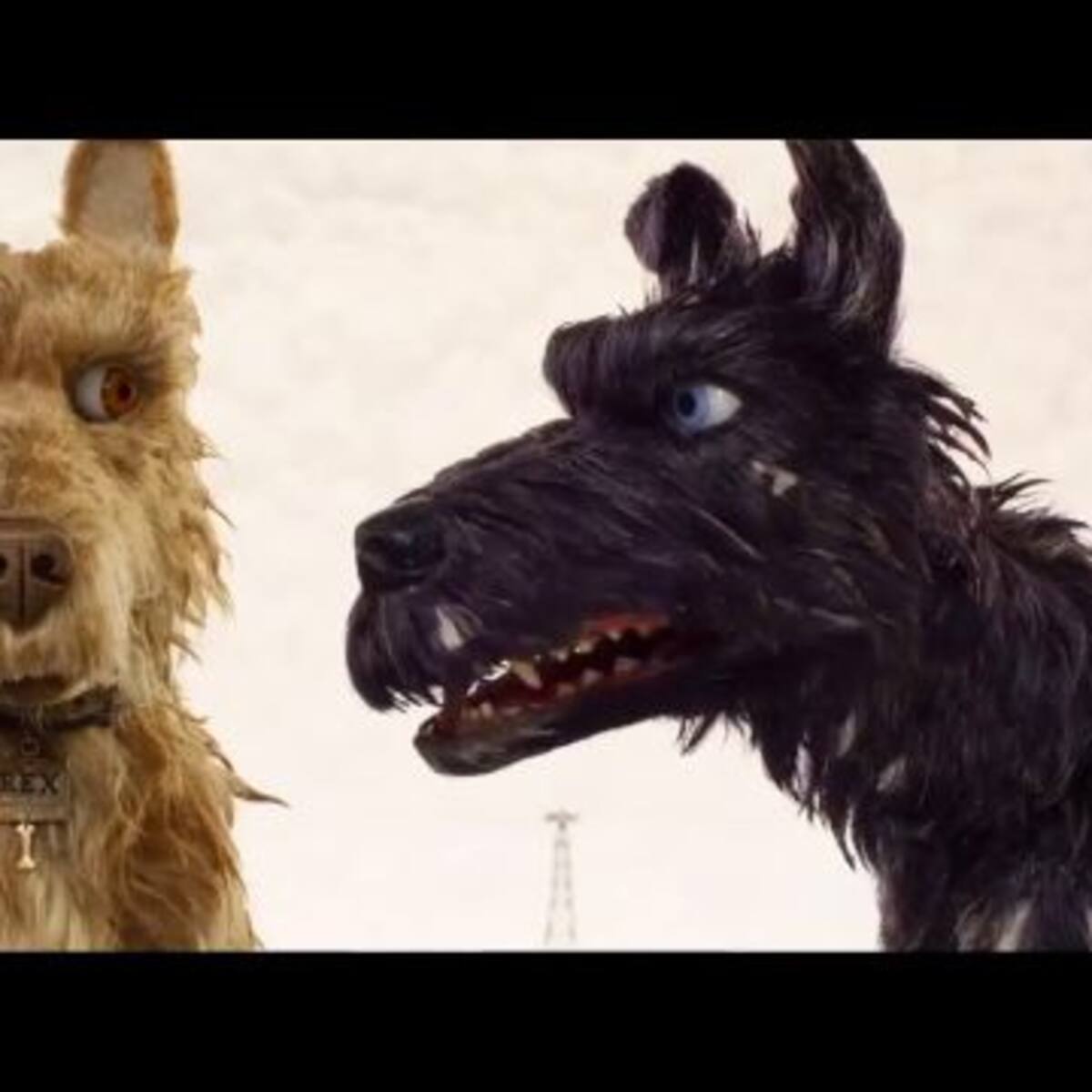 Si te gustó la película “El Gran Hotel de Budapest” tenés que ver “Isla de Perros”