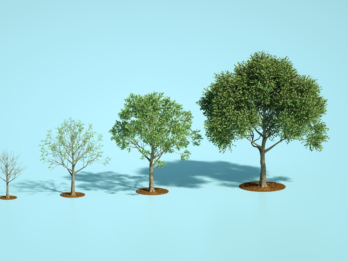¿Dónde hacen falta árboles? El 'ecomapeo' ciudadano que quiere cambiar el paisaje urbano