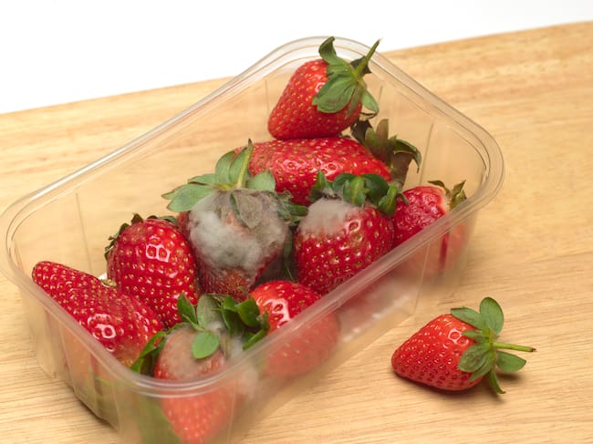 Fresas con moho