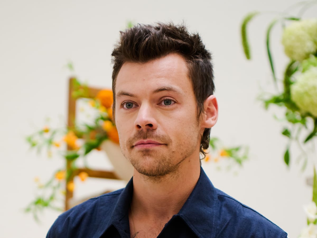 Harry Styles publica discretamente el vídeo de 'Forever, Forever': ¿el regreso o la retirada?