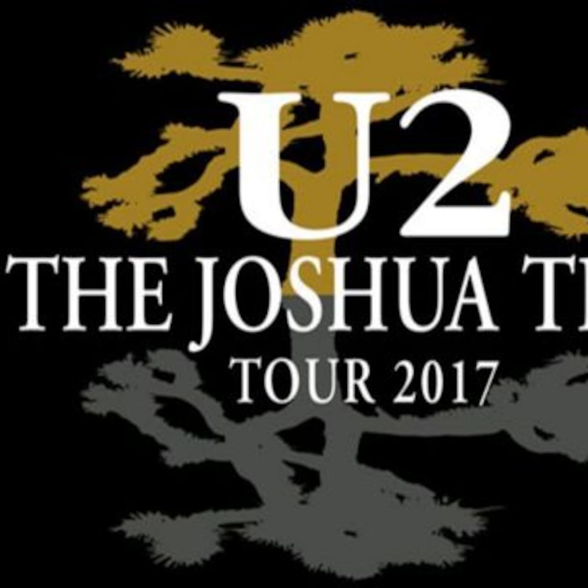 U2 retrasa una hora el comienzo de su show