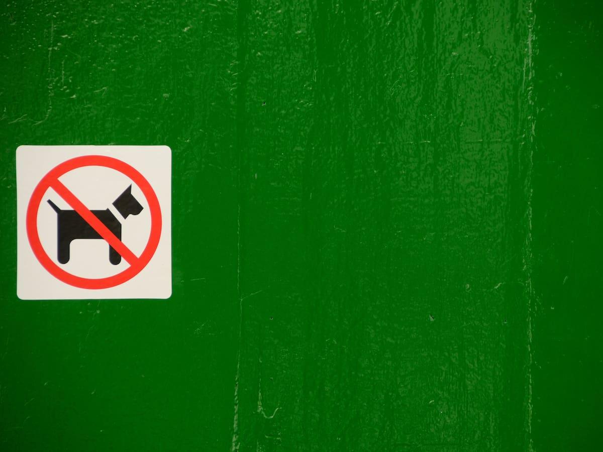 ¿Te pueden prohibir entrar con tu perro a un bar? Esto dice la ley