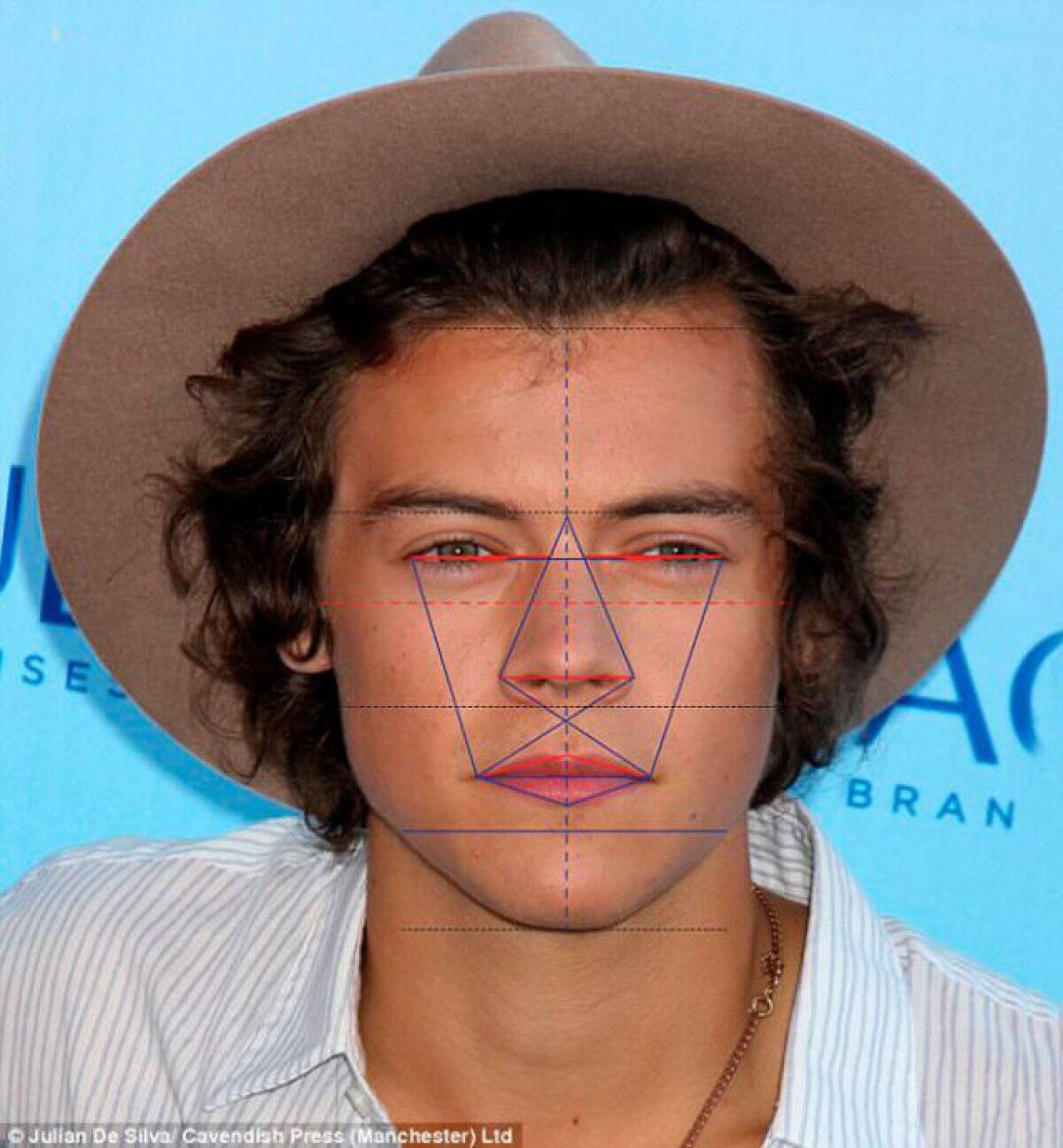 PUESTO 4 - Harry Styles, su rostro tiene 89.63% de simetría.