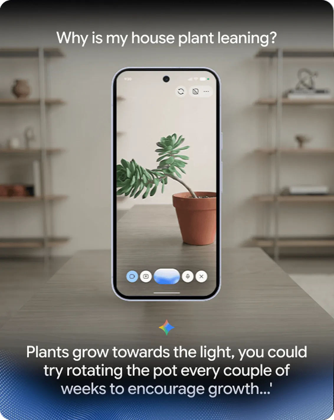 Pixel 11 leaks by Evan Blass