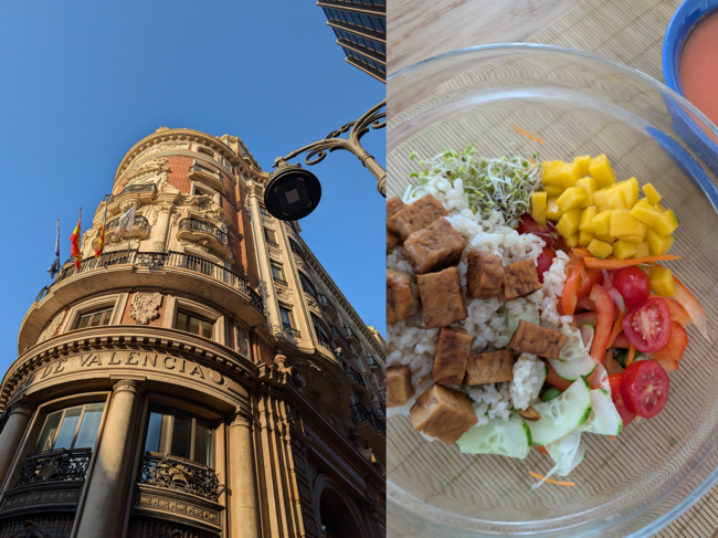 Pixel 9 Pro XL MAIN CAMERA