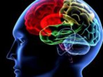 Implantes cerebrales, podrían mejorar 25% la memoria humana