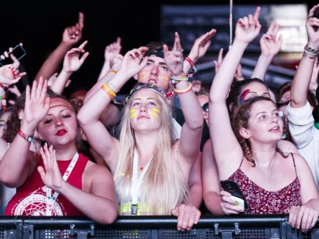 Asistentes al concierto de Calvin Harris, ¿crees que se parecen entre sí?