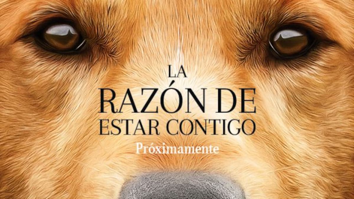¡WTF! Denuncian maltrato animal en la filmación de “La razón de estar contigo”