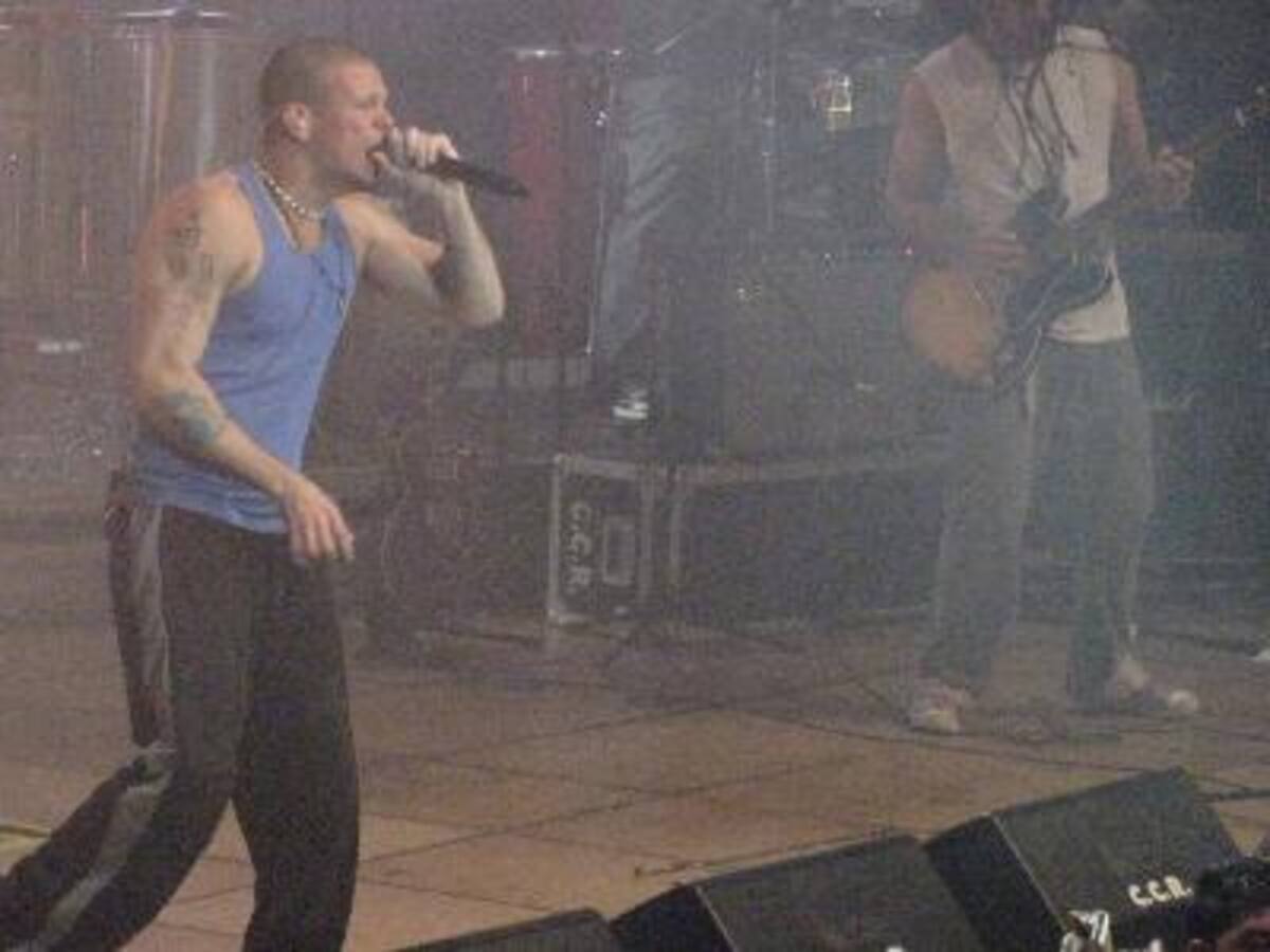 Concierto de Calle 13 Palmares 2009