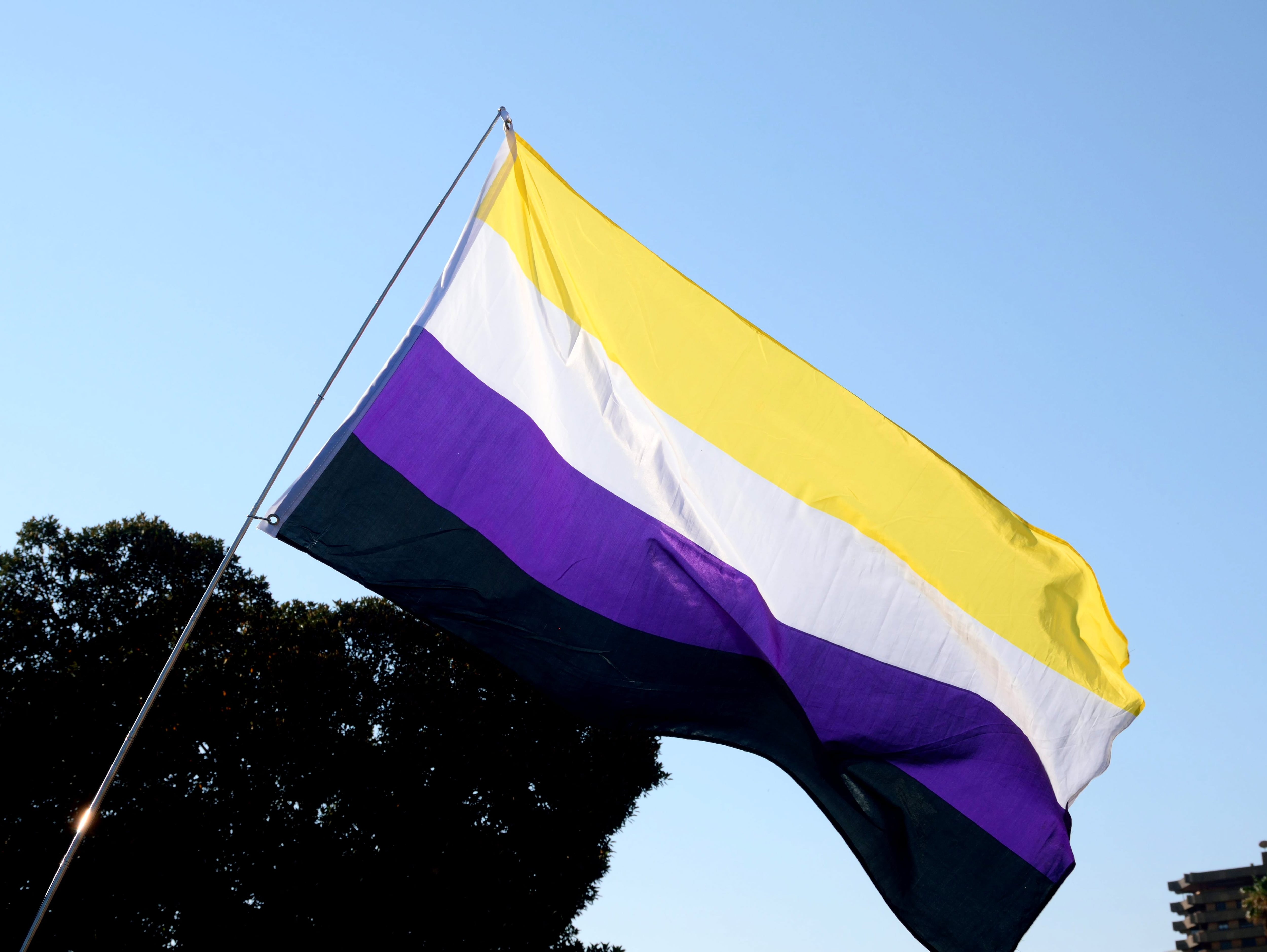 Bandera Orgullo No Binario