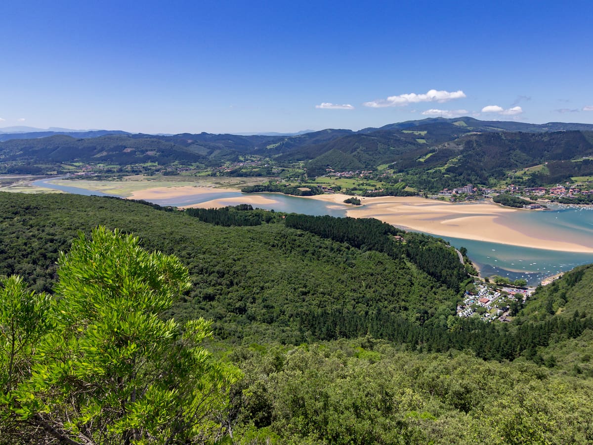 Urdaibai respira: el Guggenheim dice adiós a su ampliación más polémica