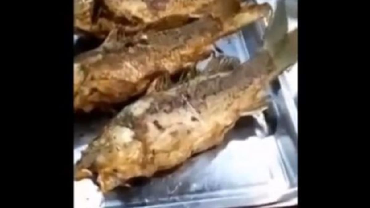Un pescado frito comenzó a moverse en el plato