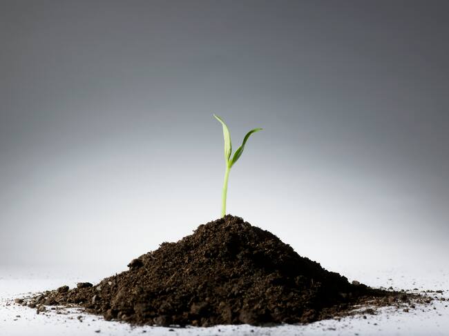 Cuidar el planeta es tarea de todos.