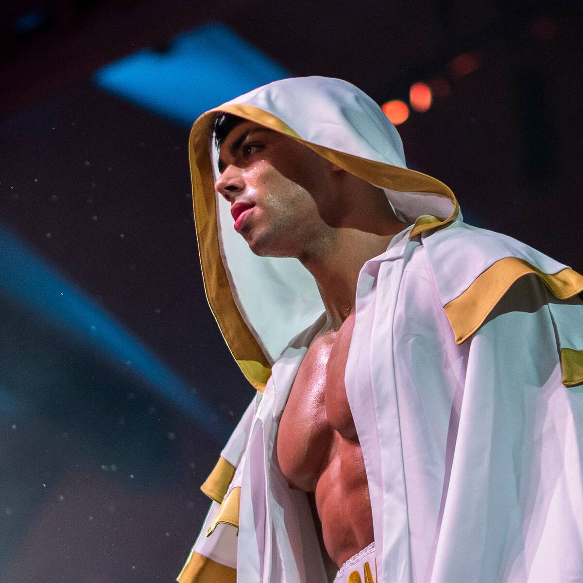 Se desvelan los combates cancelados de 'La Velada del Año VI': Andoni, Misho, Pablo Vera, Juan Guarnizo...