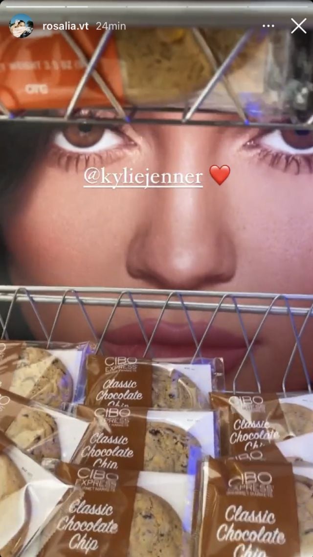 Rosalía y Kylie Jenner vuelven a seguirse en Instagram.