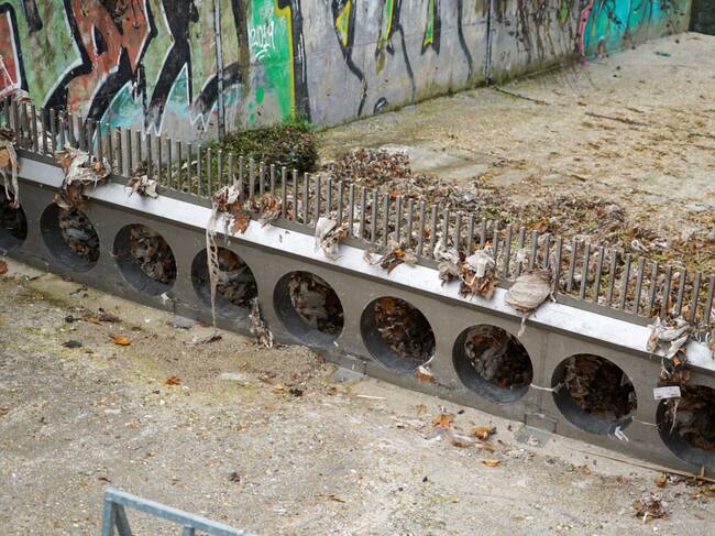 Foto: Comunidad de Madrid.