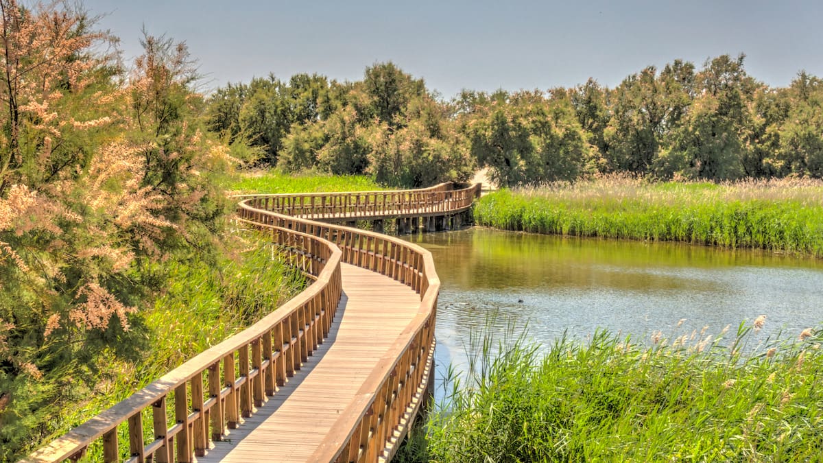 El milagro de las Tablas de Daimiel: llenas de agua… pero con un problema que no se ve