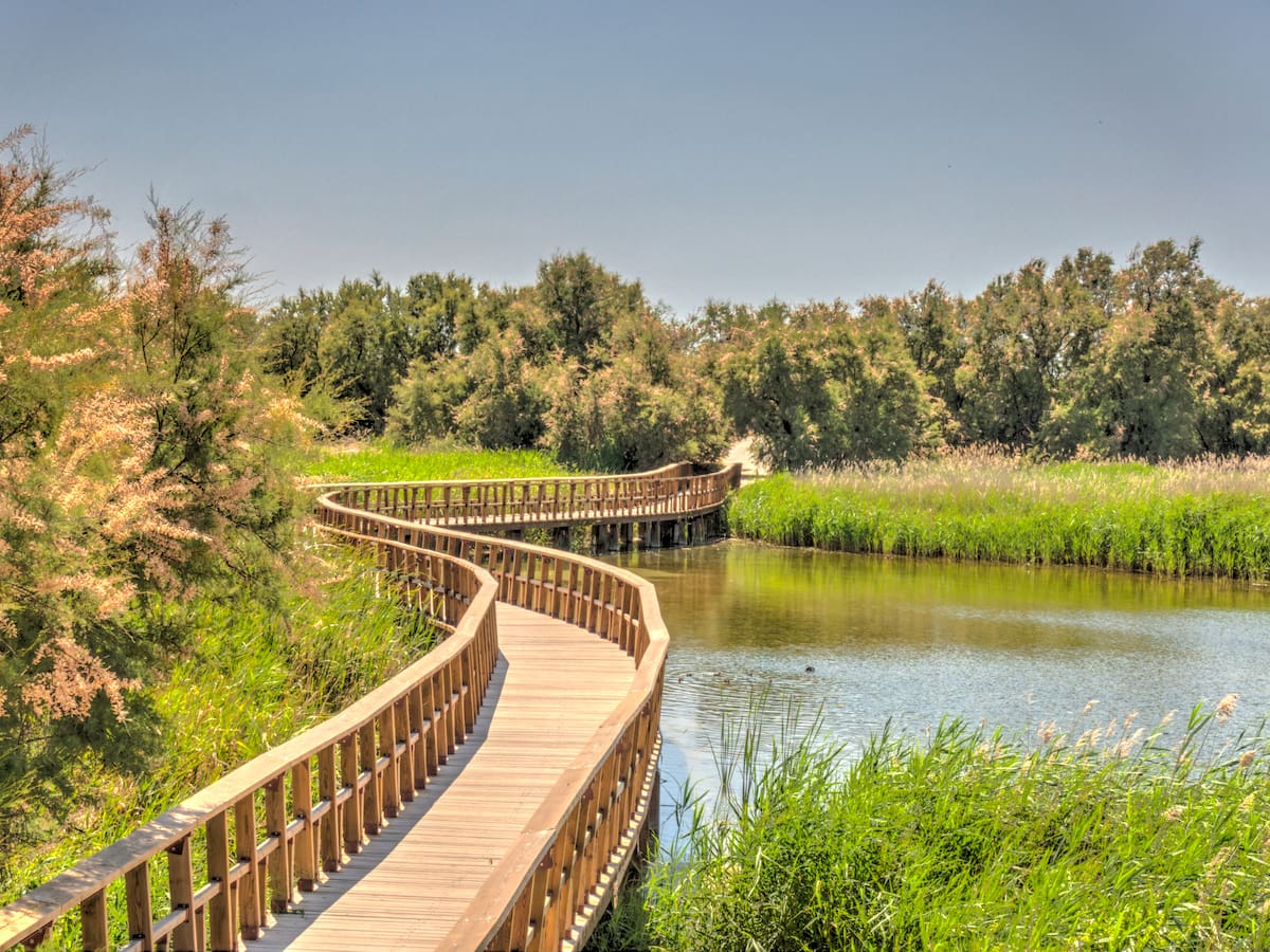 El milagro de las Tablas de Daimiel: llenas de agua… pero con un problema que no se ve
