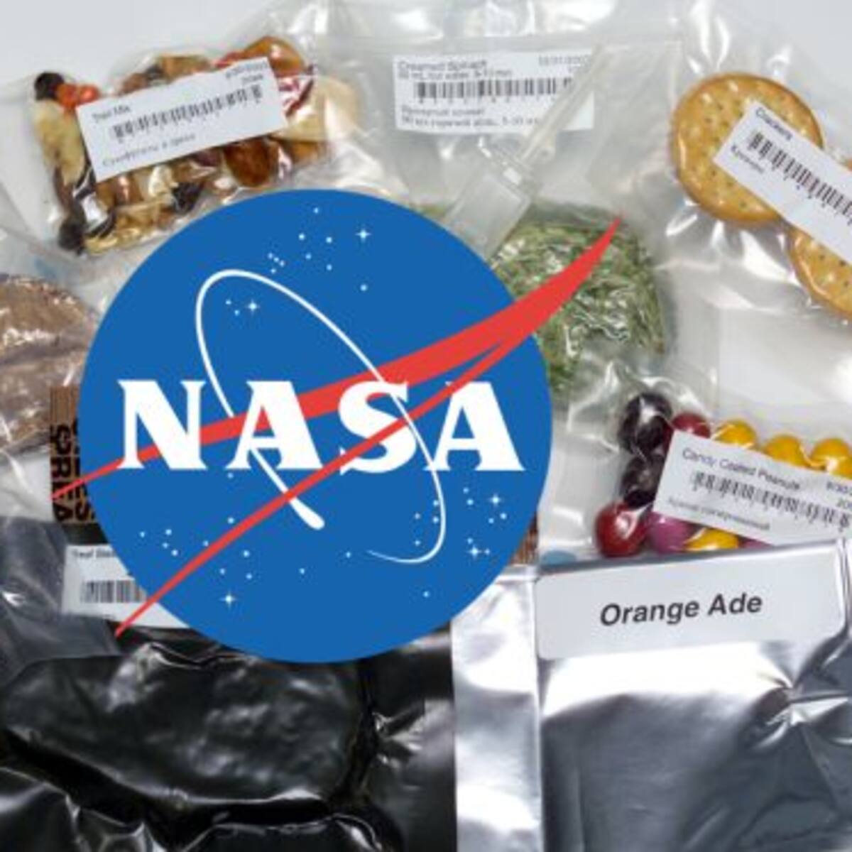 ¿Helado de astronauta? Sí, conocé lo que podés comprar en la página de la NASA