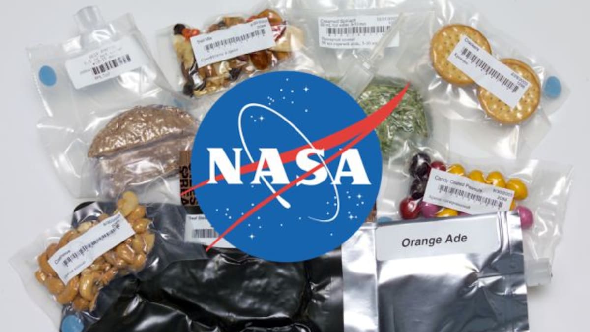 ¿Helado de astronauta? Sí, conocé lo que podés comprar en la página de la NASA