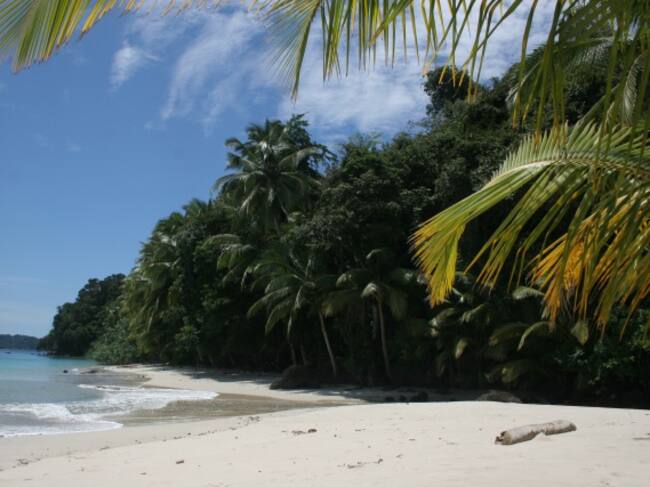 Santa Catalina