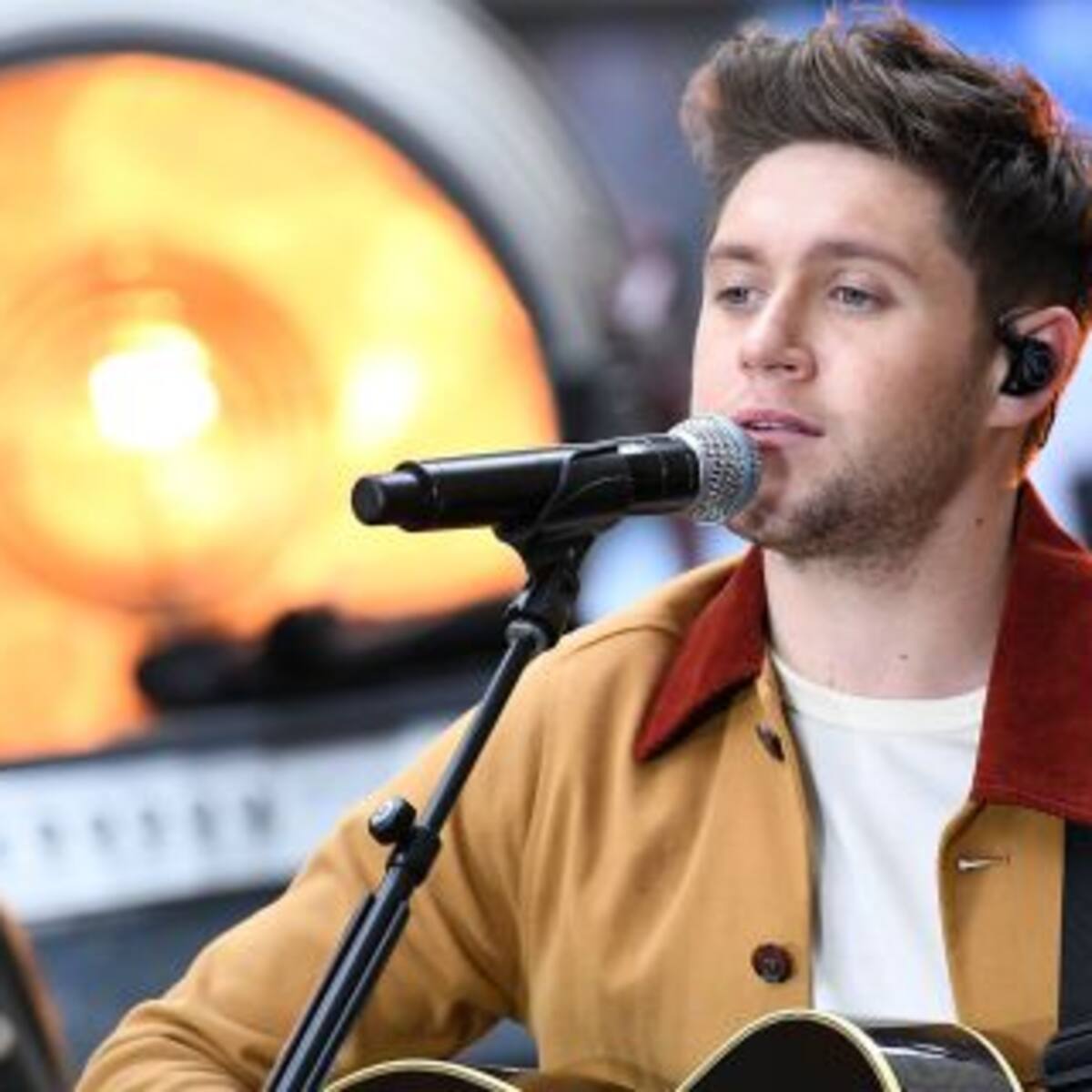 ¿Niall Horan quiere hacer una colaboración con Camila Cabello?