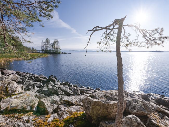Una foto del paisaje en Lakeland (Finlandia)