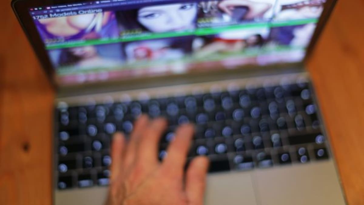 Con esta app identificarás la cara y el nombre de las actrices porno