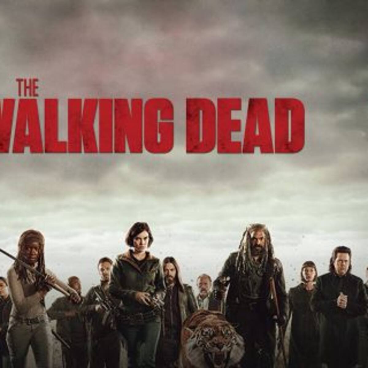 Fans de The Walking Dead odian al director de la serie