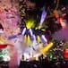 Primavera Sound 2020 se aplaza hasta verano