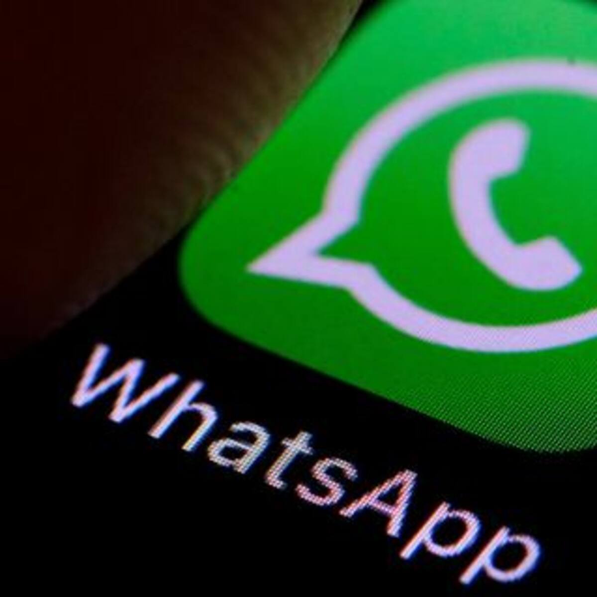 WhatsApp: Limitarán una de las opciones más usadas por los usuarios