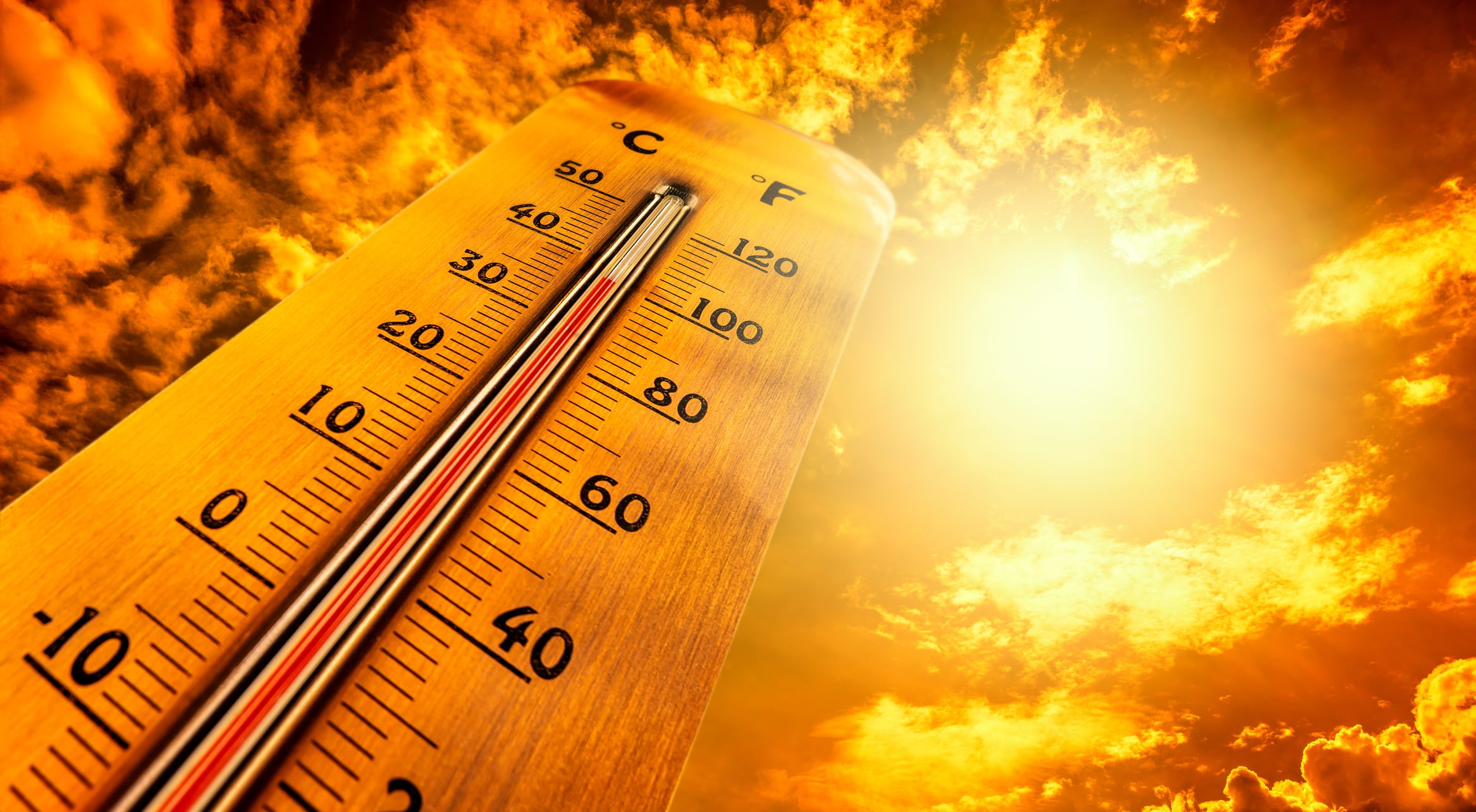 Los termómetros han registrado temperaturas asfixiantes estos días.