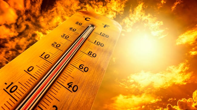 Los termómetros han registrado temperaturas asfixiantes estos días.