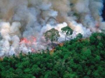 Incendio en el Amazonas ¿por qué es un peligro mundial?