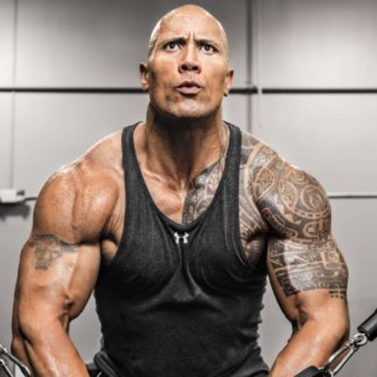 Sigue todo Mal entre Dwayne Johnson y Vin Diesel