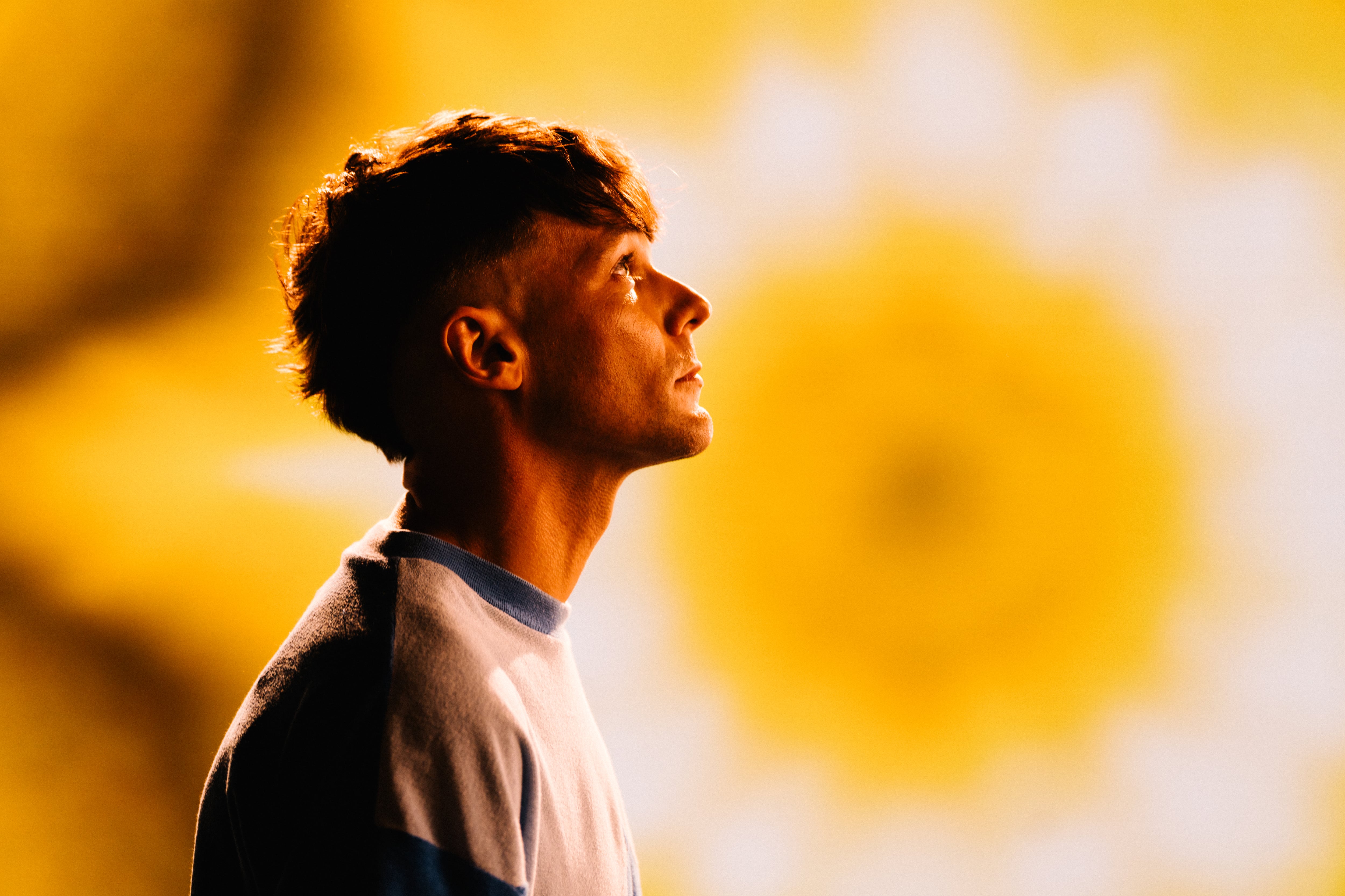 Louis Tomlinson, artista británico