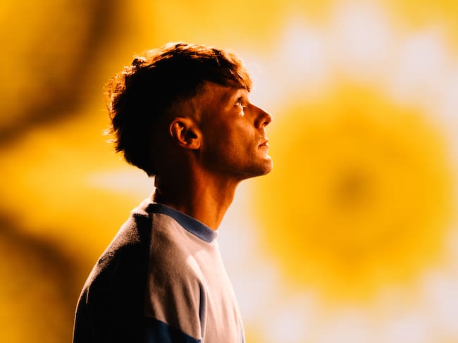 Louis Tomlinson, artista británico