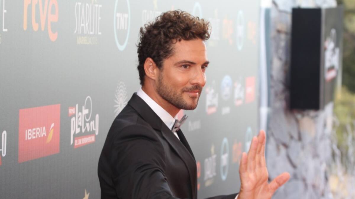 Bisbal, el favorito de muchas