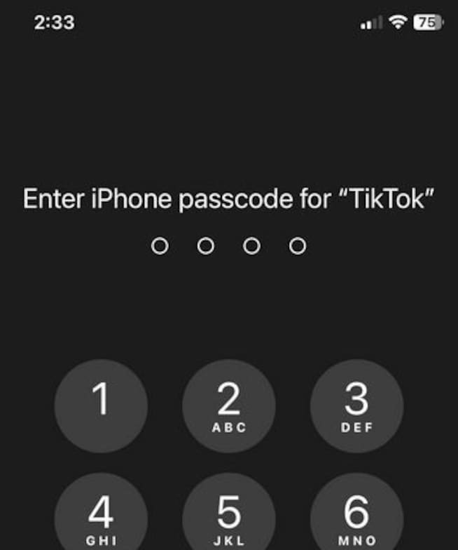 iPhone / TikTok