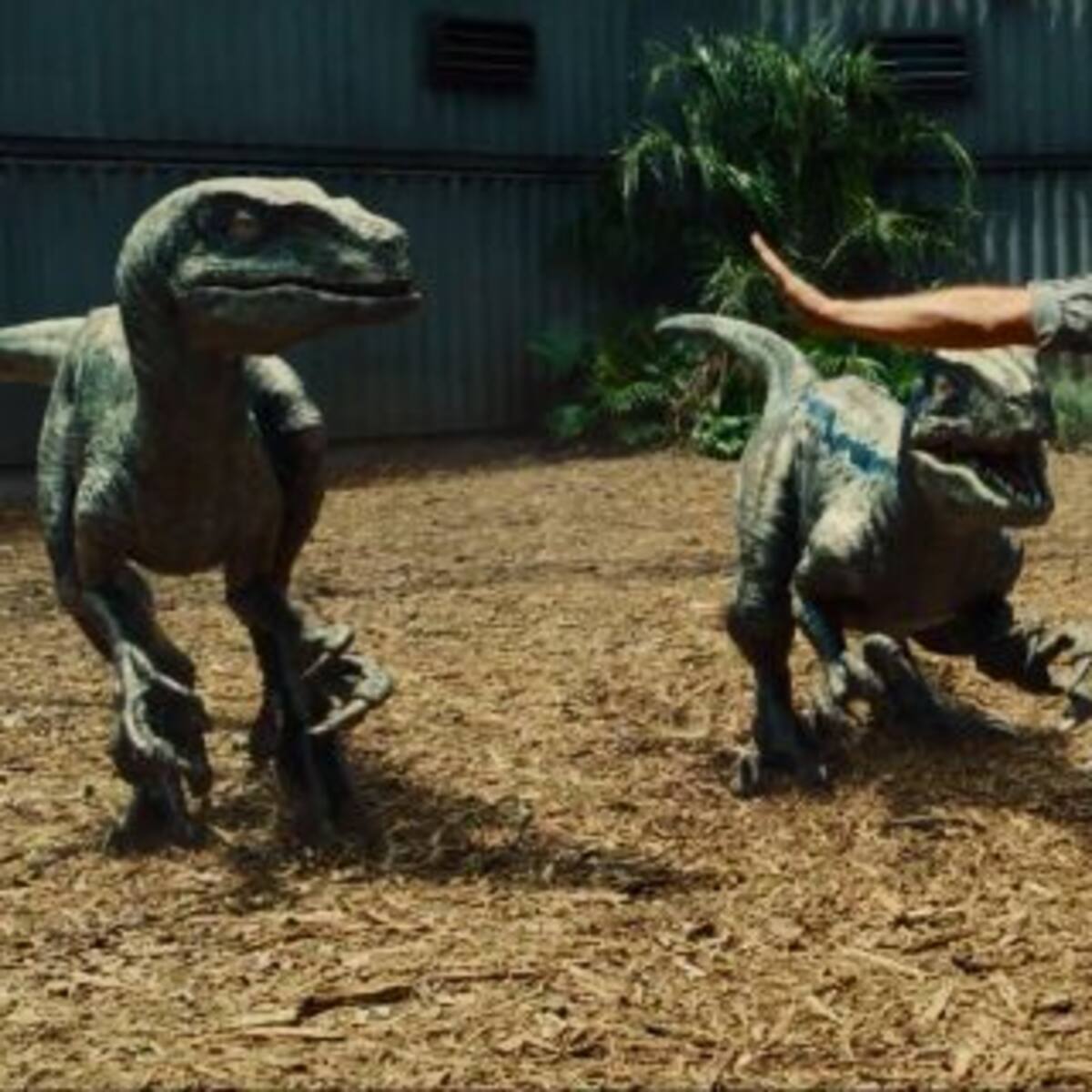 Así será la nueva película de Jurassic World