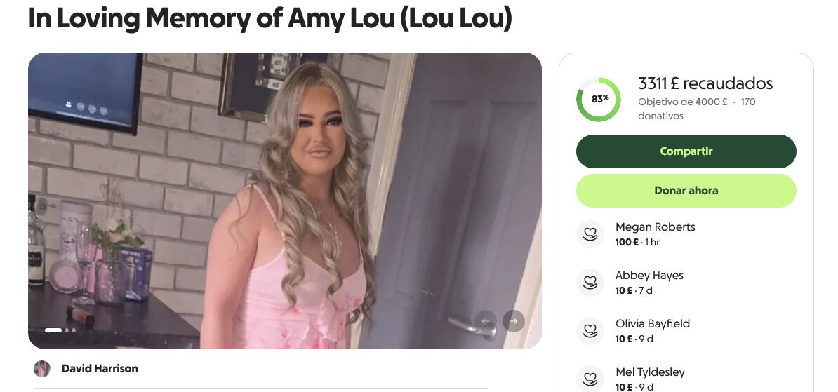 Campaña de GoFundMe para el funeral de Amy Leonard.