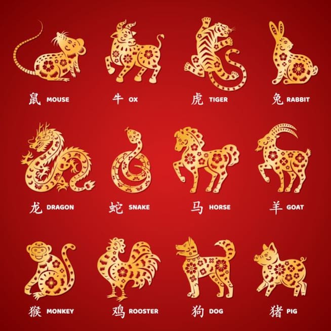 Las predicciones del horóscopo chino.