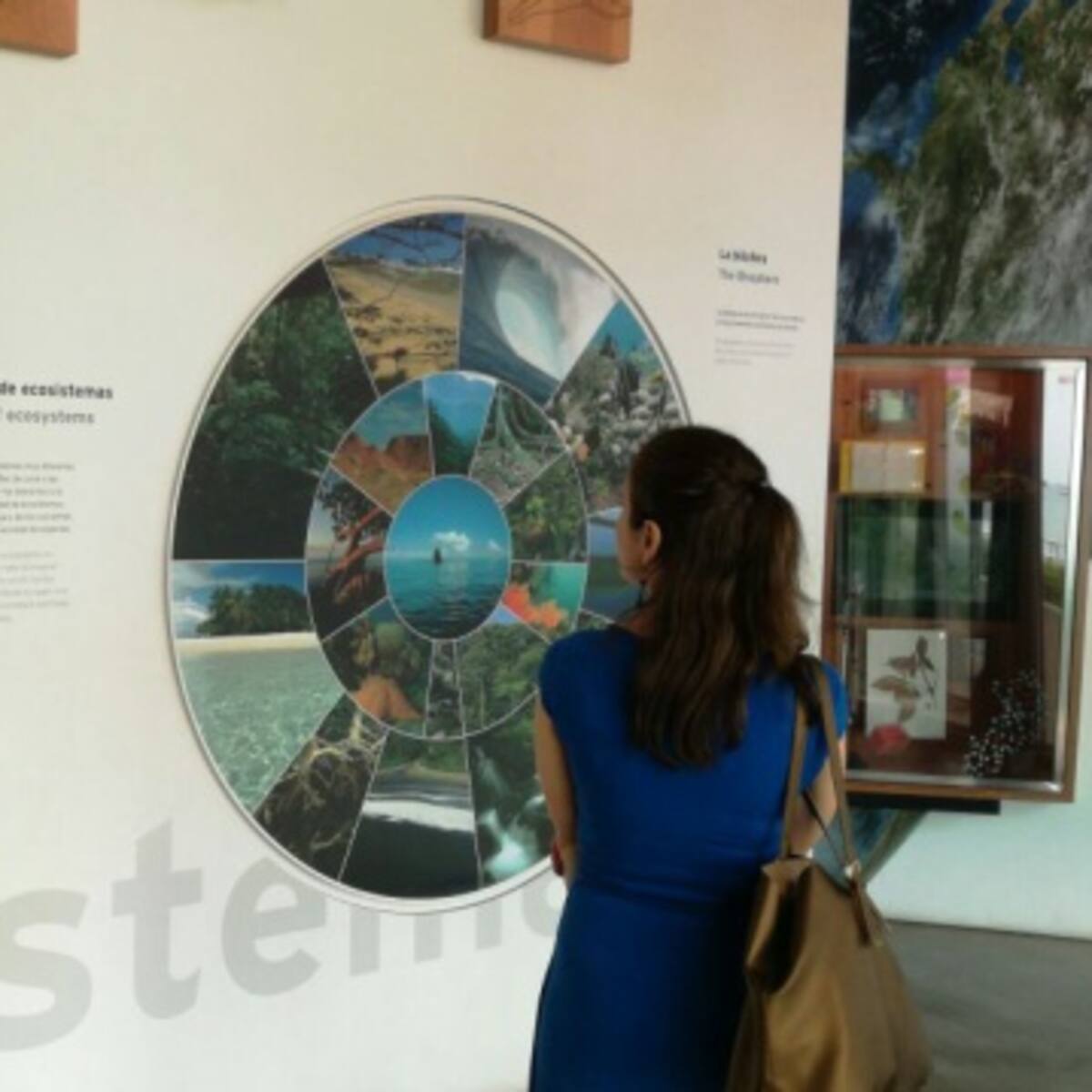 ¿Cuántos museos conoces en Panamá?