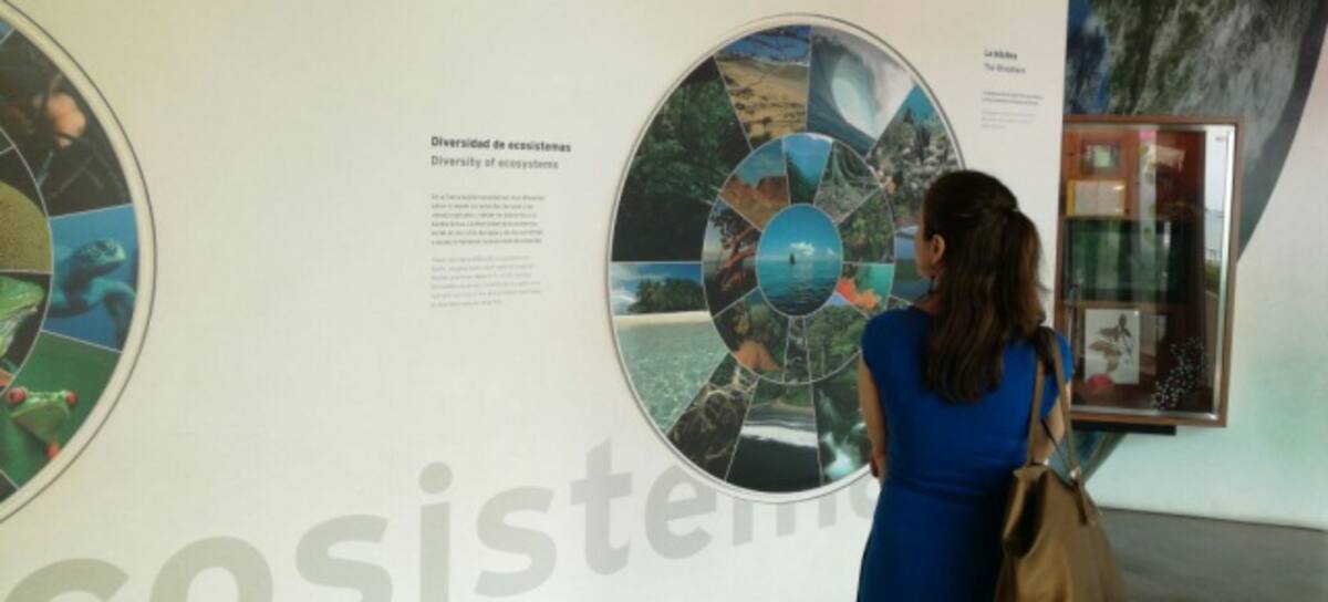Vista Biomuseo