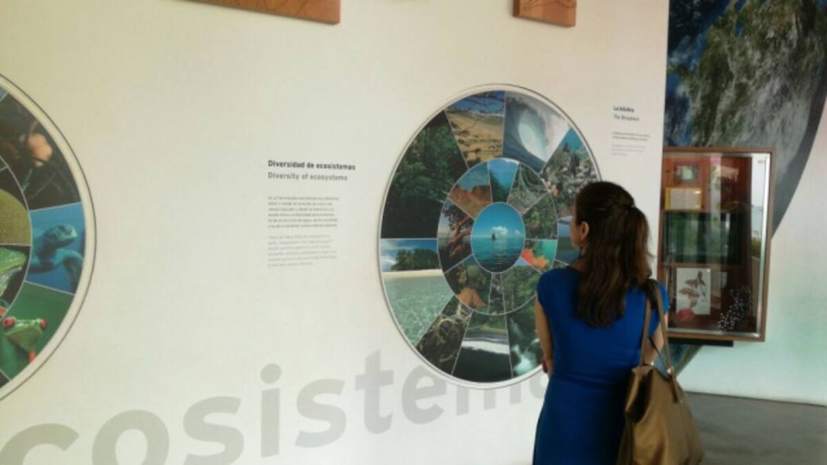 ¿Cuántos museos conoces en Panamá?
