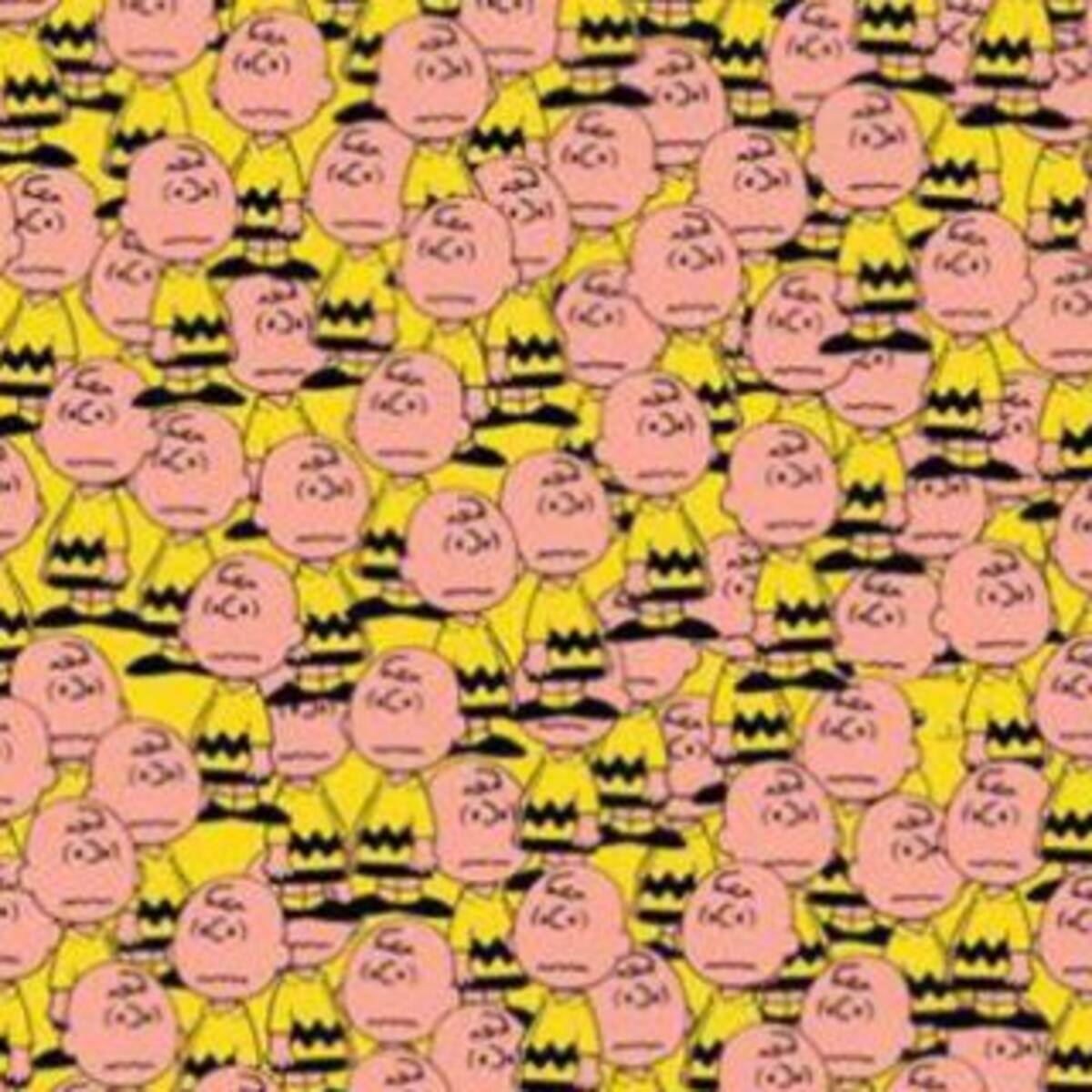 Nadie puede encontrar a Pikachu en esta foto